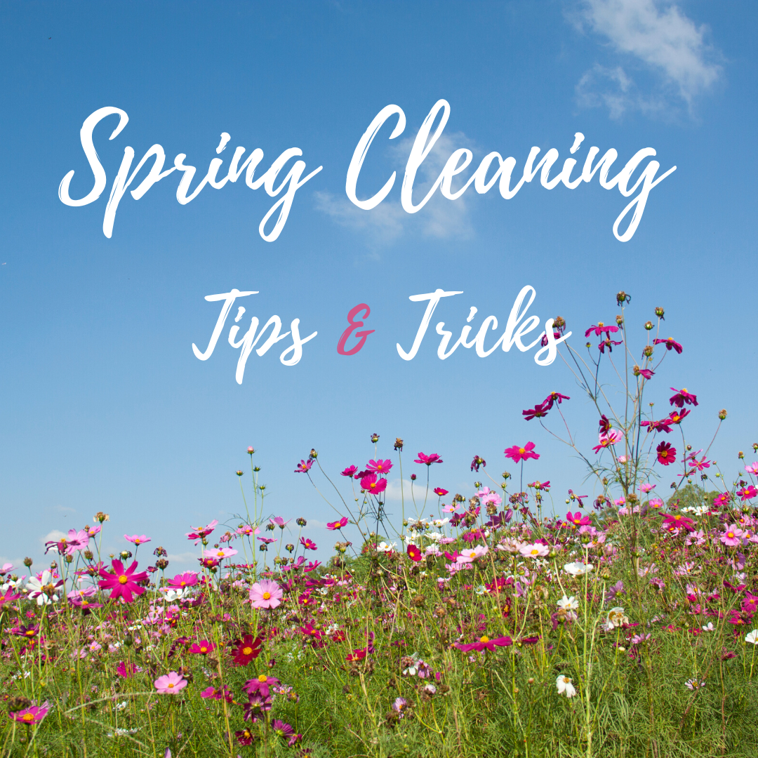 Spring Cleaning Tips & Tricks